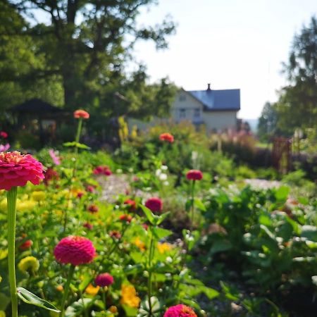 Disponentparken Cafe Och Bed & Breakfast Grangesberg Экстерьер фото