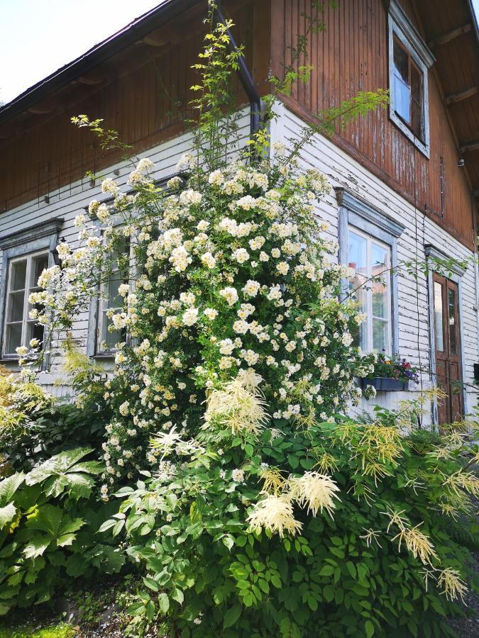 Disponentparken Cafe Och Bed & Breakfast Grangesberg Экстерьер фото