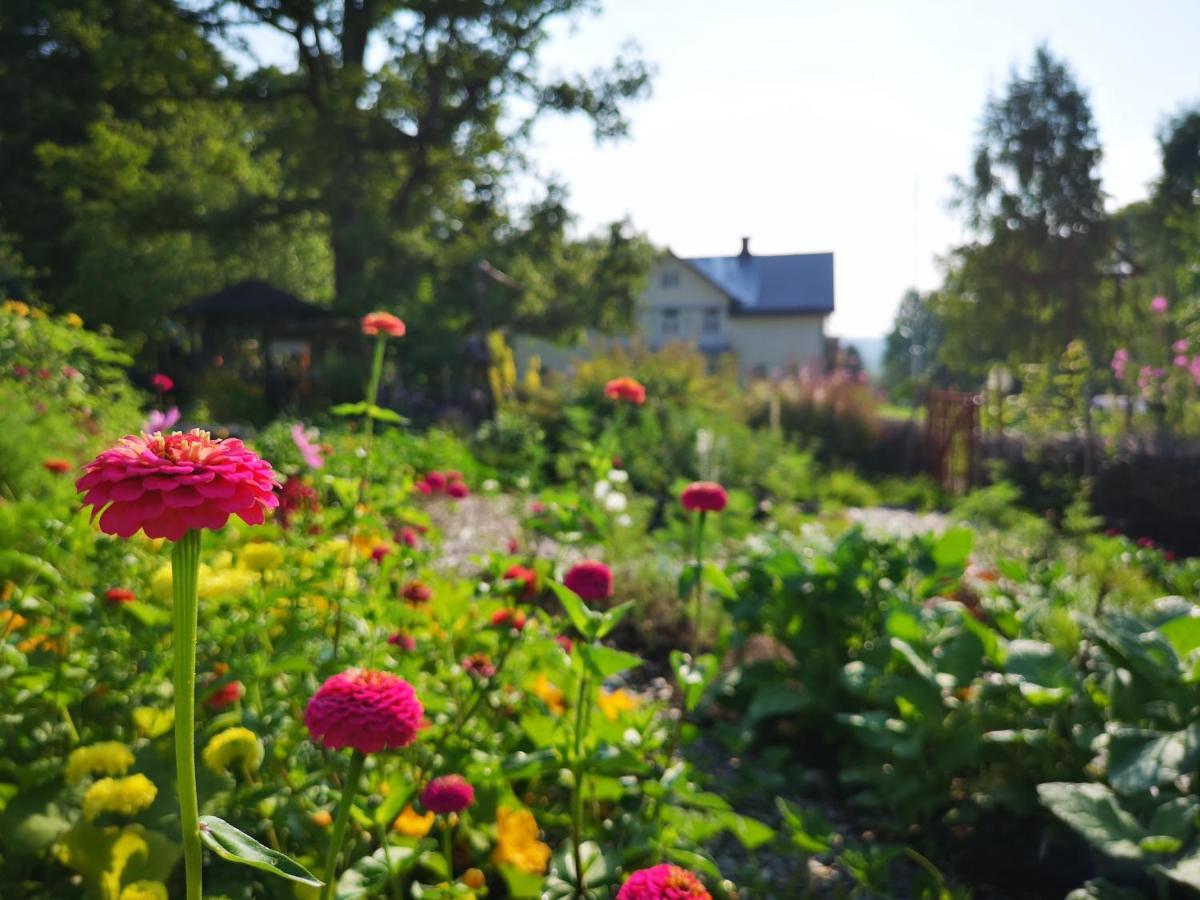 Disponentparken Cafe Och Bed & Breakfast Grangesberg Экстерьер фото