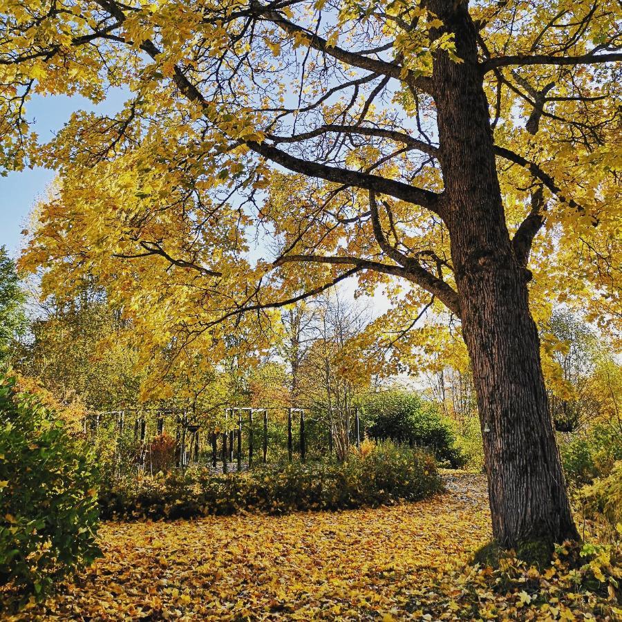 Disponentparken Cafe Och Bed & Breakfast Grangesberg Экстерьер фото